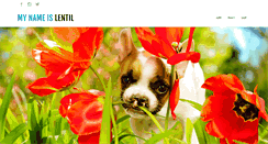 Desktop Screenshot of mynameislentil.com